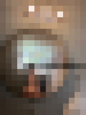 Valentyne Houston, Texas Escort, Pornstar, BDSM, DUO, Couple, Massage, Verified Adult Service Provider, Companion in United States | 3
