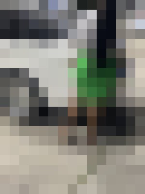 Goldie69 Mesa, Arizona Escort, Pornstar, Massage, Verified Adult Service Provider, Companion in United States | 7