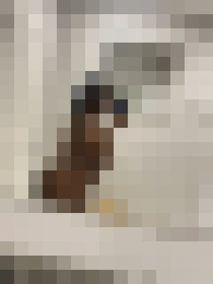 Cherrycreampie Dallas, Texas Escort, Couple, Verified Adult Service Provider, Companion in United States | 12