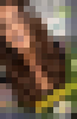 HarmonyJo Virginia Beach, Virginia Escort, , Verified Adult Service Provider, Companion in United States | 3