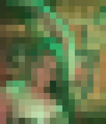 Domina Nova Los Angeles, California Escort, , Verified Adult Service Provider, Companion in United States | 6