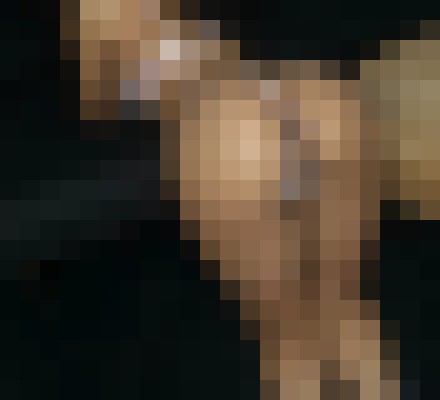 Alyssa Waters Atlanta, Georgia Escort, , Verified Adult Service Provider, Companion in United States | 6