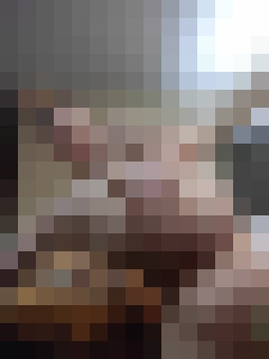 FunSizedStephanie Charlotte, North Carolina Escort, , Verified Adult Service Provider, Companion in United States | 12