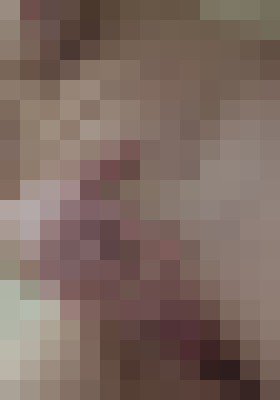 FunSizedStephanie Charlotte, North Carolina Escort, , Verified Adult Service Provider, Companion in United States | 18