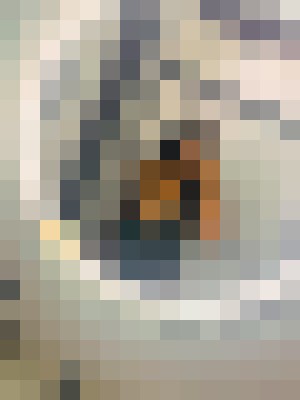 Vanessa D. Luxe Detroit, Michigan Escort, , Verified Adult Service Provider, Companion in United States | 8