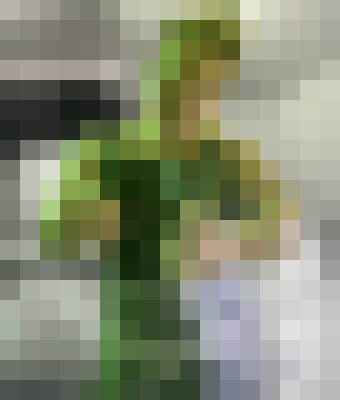 Brianna93 Spokane, Washington Escort, , Verified Adult Service Provider, Companion in United States | 7