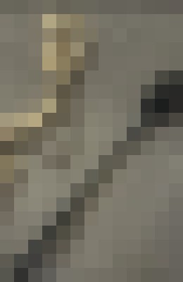 Kink_masterbbc Miami Beach, Florida Escort, Pornstar, BDSM, Couple, Verified Adult Service Provider, Companion in United States | 4