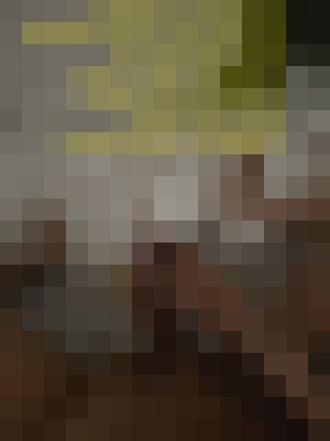 Transexual Annbelle Vancouver Escort, BDSM, Massage, Verified Adult Service Provider, Companion in Canada | 18