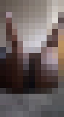 pretty brownskinn Trenton, New Jersey Escort, Pornstar, Couple, Massage, Verified Adult Service Provider, Companion in United States | 4