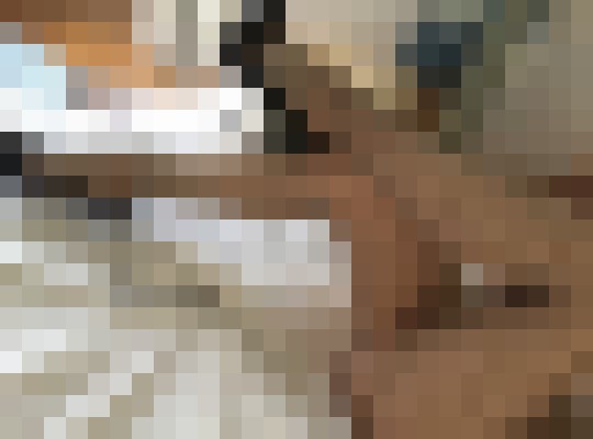 cristy Halifax Escort, Pornstar, Verified Adult Service Provider, Companion in Canada | 11
