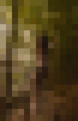 AliviaLeveauxxx Honolulu, Hawaii Escort, DUO, Verified Adult Service Provider, Companion in United States | 5