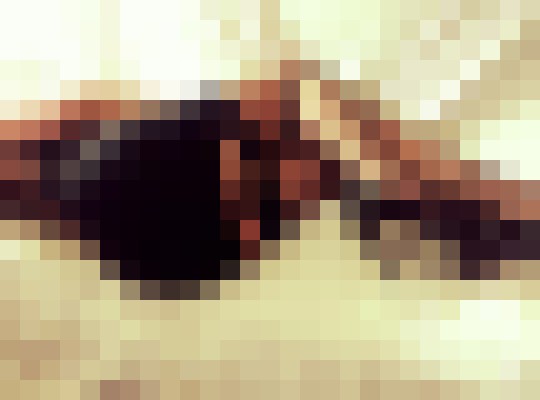 SexySarah Baltimore, Maryland Escort, , Verified Adult Service Provider, Companion in United States | 5