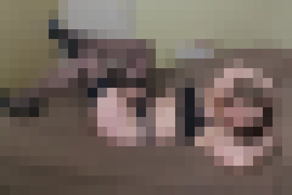 FallonKelly Montgomery, Alabama Escort, , Verified Adult Service Provider, Companion in United States | 7