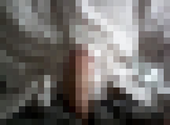GreenEyesNThick Allentown, Pennsylvania Escort, Pornstar, BDSM, DUO, Couple, Verified Adult Service Provider, Companion in United States | 16