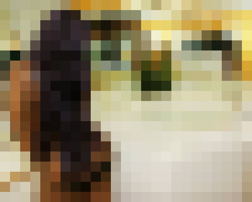 MzDream Lake Forest, Illinois Escort, , Verified Adult Service Provider, Companion in United States | 4