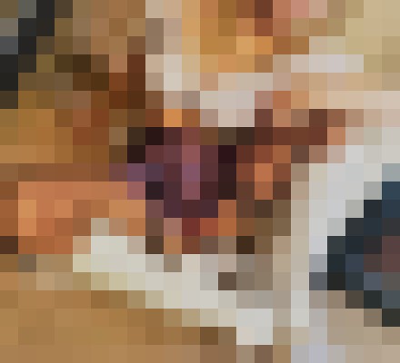 AnnieLove Reno, Nevada Escort, Pornstar, BDSM, Couple, Massage, Verified Adult Service Provider, Companion in United States | 15