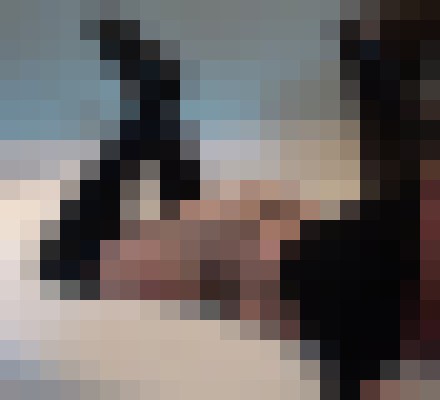 missymore Washington DC Escort, , Verified Adult Service Provider, Companion in United States | 8