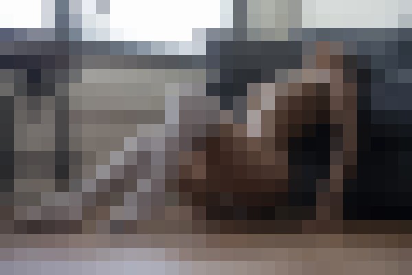 Mischa Atlanta, Georgia Escort, BDSM, DUO, Couple, Verified Adult Service Provider, Companion in United States | 11