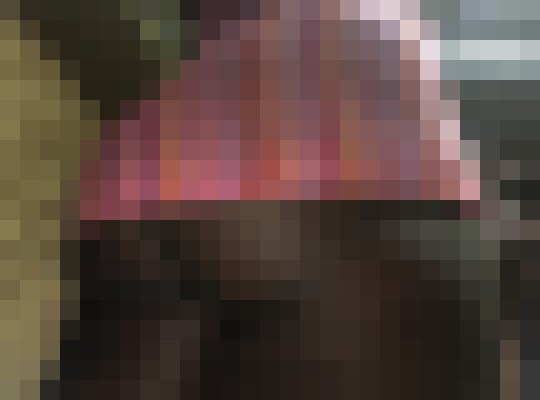 Ephasia Chicago, Illinois Escort, DUO, Verified Adult Service Provider, Companion in United States | 13