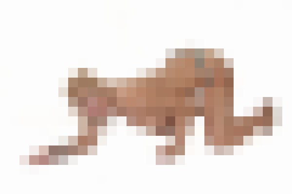 DanielaFurtadoTS Manchester Escort, , Verified Adult Service Provider, Companion in United Kingdom | 5