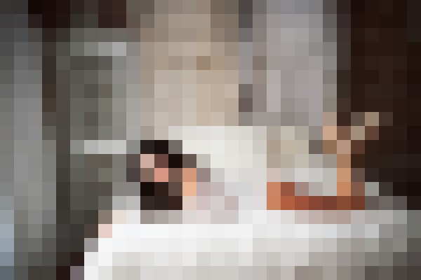 MilenaA Seattle, Washington Escort, , Verified Adult Service Provider, Companion in United States | 7
