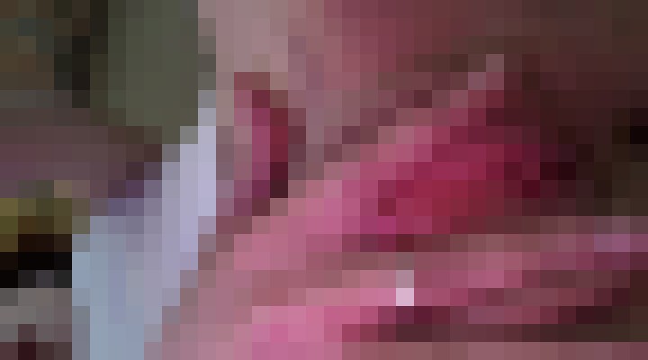 Ninasugar Calgary Escort, Pornstar, Verified Adult Service Provider, Companion in Canada | 1