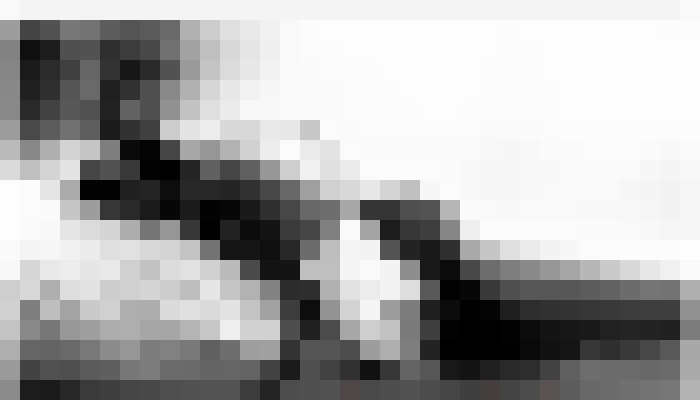 PassionateLilliana Charleston, South Carolina Escort, BDSM, Verified Adult Service Provider, Companion in United States | 4