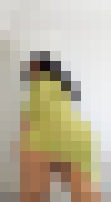 KimBankxx New York City Escort, BDSM, DUO, Massage, Verified Adult Service Provider, Companion in United States | 9