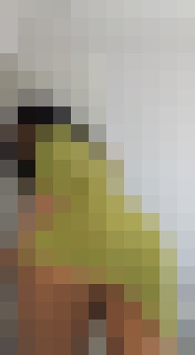 KimBankxx New York City Escort, BDSM, DUO, Massage, Verified Adult Service Provider, Companion in United States | 10