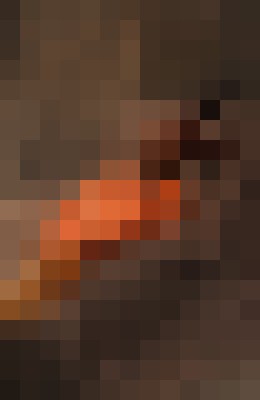 SEXYSASHARAY Atlanta, Georgia Escort, BDSM, DUO, Couple, Massage, Verified Adult Service Provider, Companion in United States | 6
