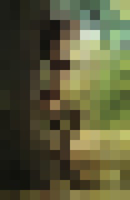 SoniaDuBois Toronto Escort, Pornstar, DUO, Massage, Verified Adult Service Provider, Companion in Canada | 8