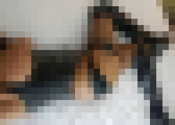 layla luv Tallahassee, Florida Escort, Pornstar, BDSM, DUO, Couple, Verified Adult Service Provider, Companion in United States | 9