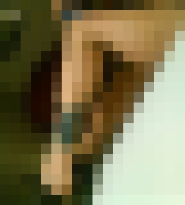 PriNce$$ ChiNa Houston, Texas Escort, Pornstar, Massage, Verified Adult Service Provider, Companion in United States | 12
