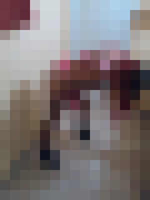 kissablehoney Los Angeles, California Escort, , Verified Adult Service Provider, Companion in United States | 16