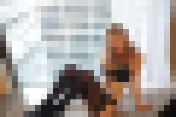 LilyGrace Seattle, Washington Escort, Pornstar, BDSM, DUO, Couple, Massage, Verified Adult Service Provider, Companion in United States | 7