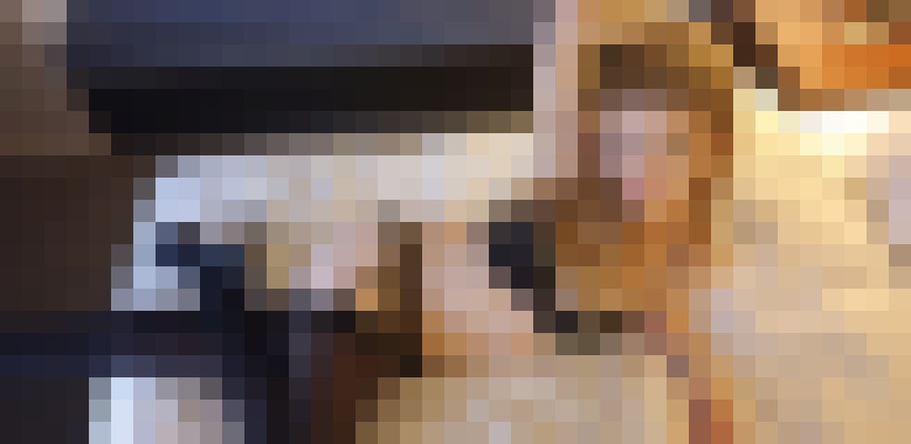 LilyGrace Seattle, Washington Escort, Pornstar, BDSM, DUO, Couple, Massage, Verified Adult Service Provider, Companion in United States | 8