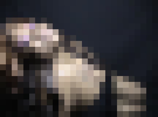 Seductive Storm  Atlanta, Georgia Escort, BDSM, DUO, Couple, Massage, Verified Adult Service Provider, Companion in United States | 10
