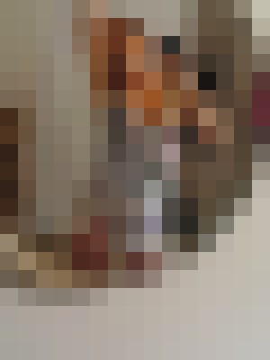 Valerie Nasty Charleston, West Virgina Escort, BDSM, DUO, Massage, Verified Adult Service Provider, Companion in United States | 6