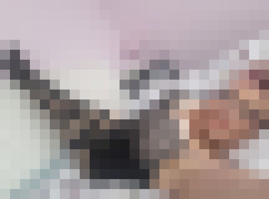 Sparkle83 Birmingham Escort, Pornstar, Verified Adult Service Provider, Companion in United Kingdom | 2