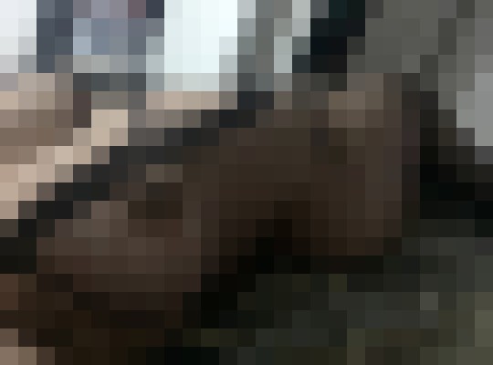 AngieMarie1034 Miami, Florida Escort, , Verified Adult Service Provider, Companion in United States | 11