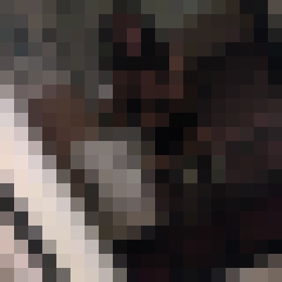 Mzsweetz Chicago, Illinois Escort, BDSM, Couple, Massage, Verified Adult Service Provider, Companion in United States | 12