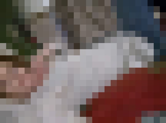 Mia92 Spokane, Washington Escort, Pornstar, BDSM, DUO, Couple, Massage, Verified Adult Service Provider, Companion in United States | 7