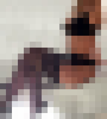 Erotik Marina Chicago, Illinois Escort, , Verified Adult Service Provider, Companion in United States | 7