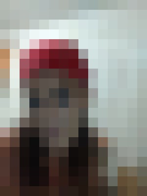 SexyGFE4u New York Escort, , Verified Adult Service Provider, Companion in United States | 2