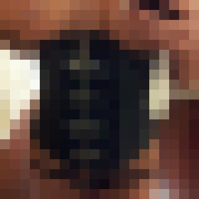 BELLA BENZ Raleigh, North Carolina Escort, Pornstar, Verified Adult Service Provider, Companion in United States | 3