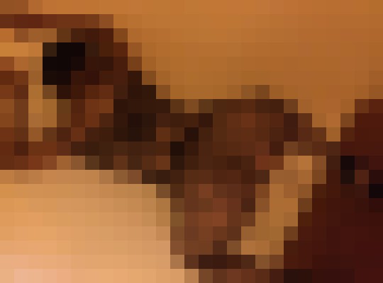 Vanity Love Chicago, Illinois Escort, Pornstar, BDSM, Massage, Verified Adult Service Provider, Companion in United States | 6