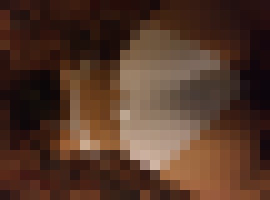 Vanity Love Chicago, Illinois Escort, Pornstar, BDSM, Massage, Verified Adult Service Provider, Companion in United States | 14