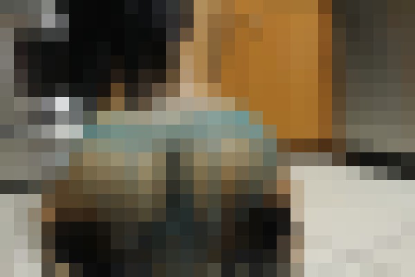 Nahla_leah Fort Lauderdale, Florida Escort, , Verified Adult Service Provider, Companion in United States | 3