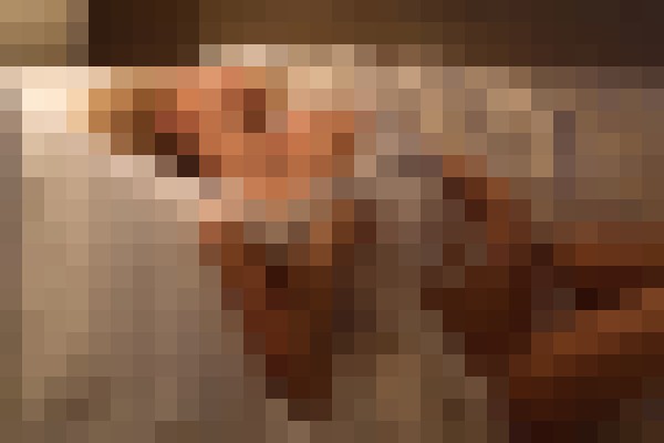 Mishell Dubai Escort, , Verified Adult Service Provider, Companion in United Arab Emirates | 11