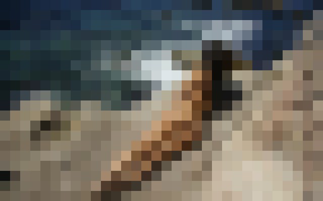 DiscreetDiamond San Francisco, California Escort, BDSM, Verified Adult Service Provider, Companion in United States | 9